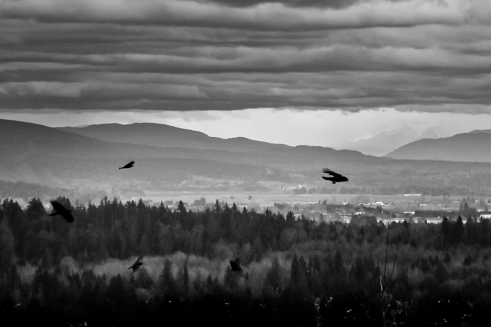 A Foreboding Ring | Coquitlam, BC