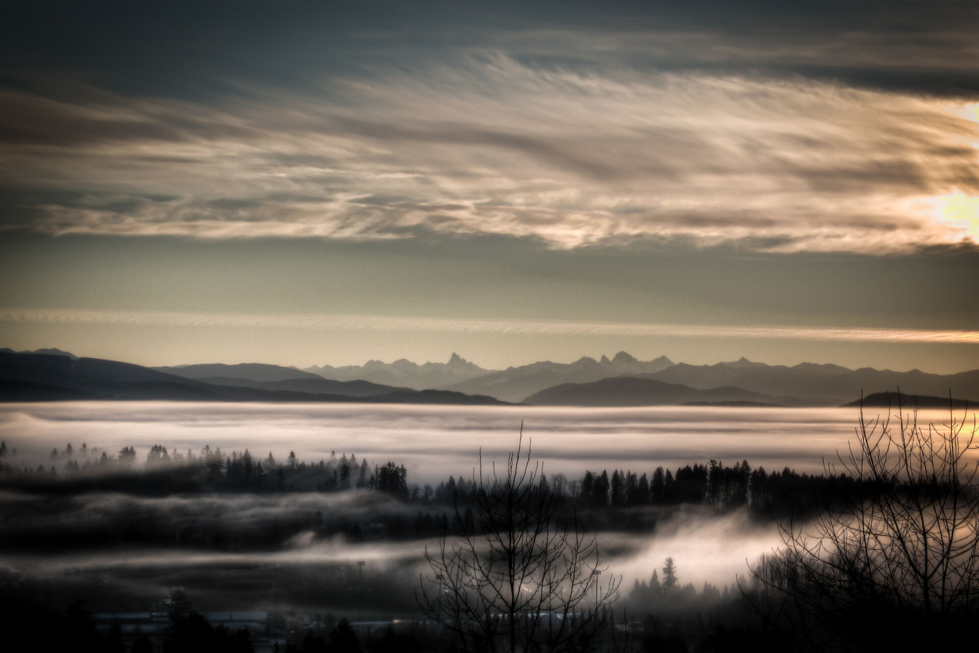 A Pillow of Mist | Coquitlam, BC