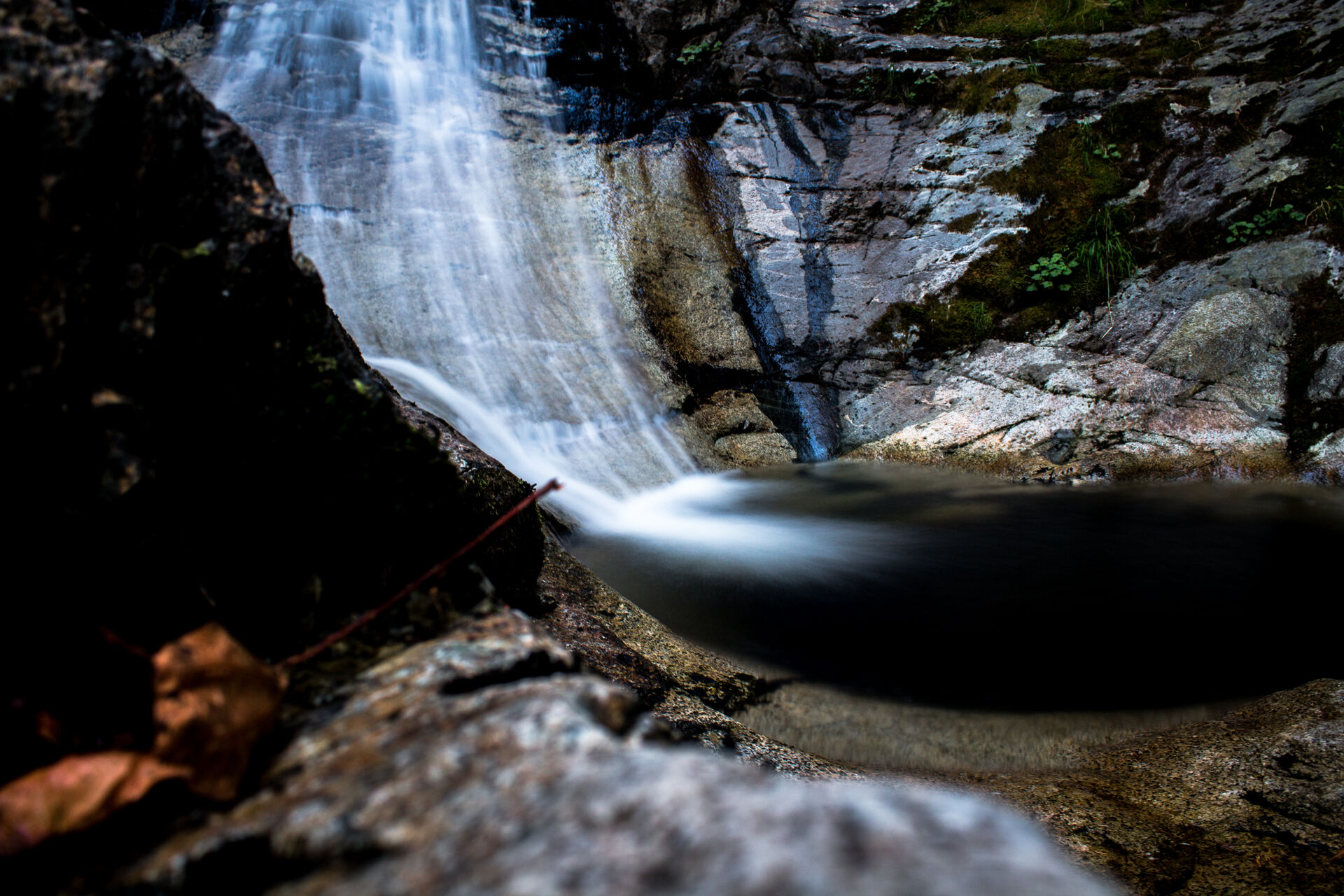 Crystal Falls | Coquitlam, BC