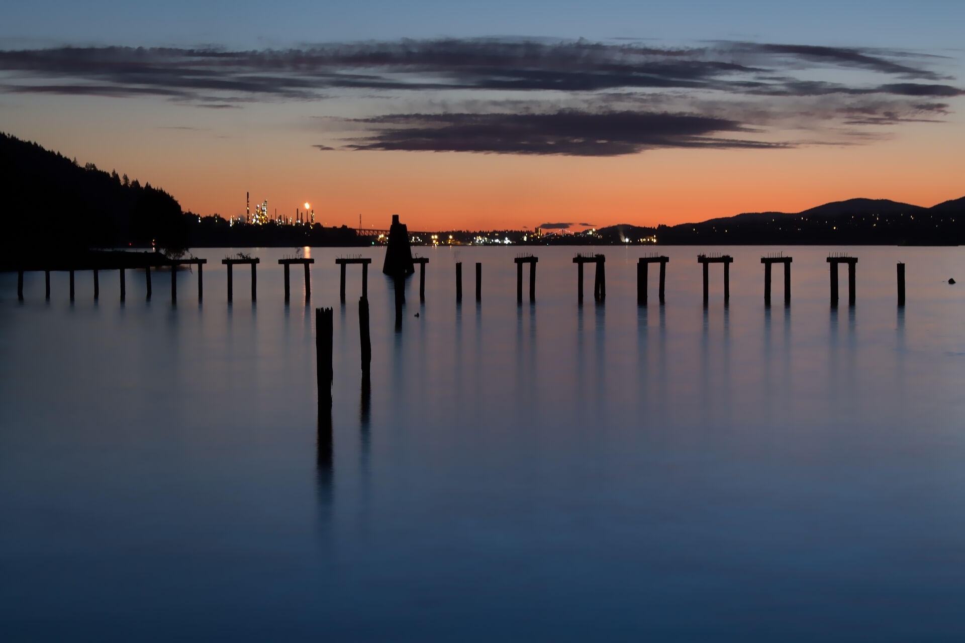 Fading Resilience | Barnet Marine Park, Burnaby, BC