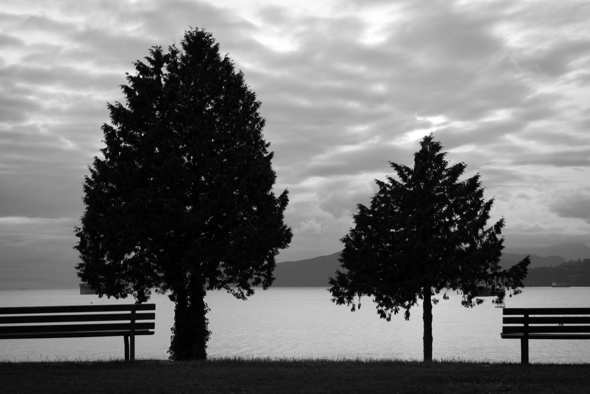 Together Till The End | Stanley Park, Vancouver, BC