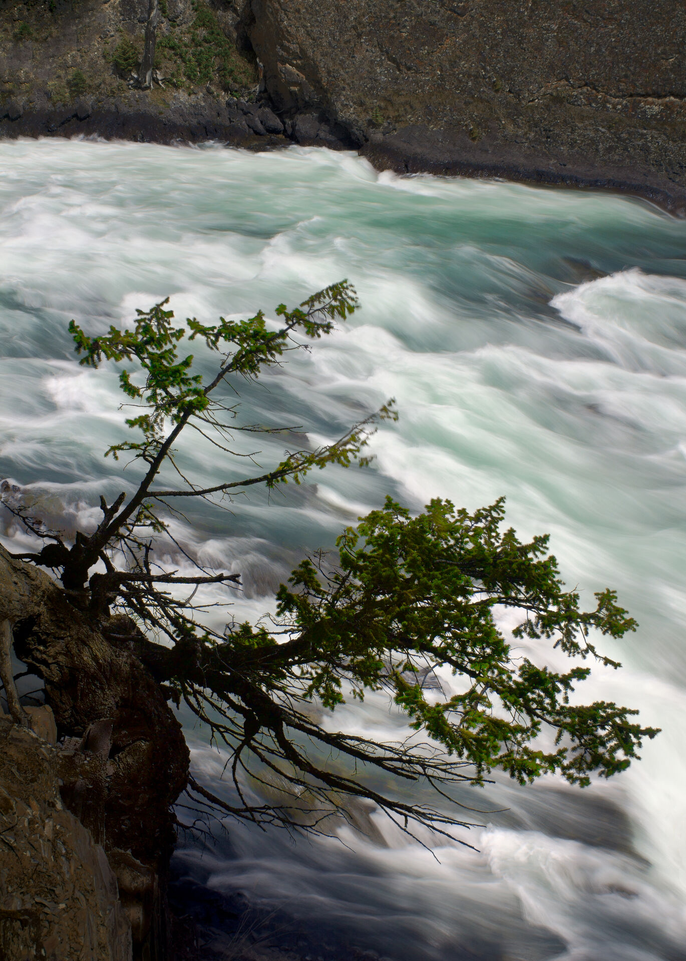 Windflow | Banff National Park, AB